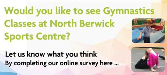 NB gymnastics survey