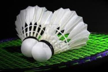 Badminton